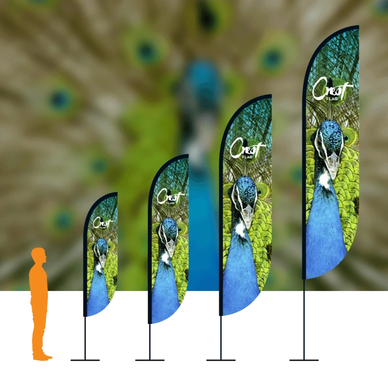 [object Object]